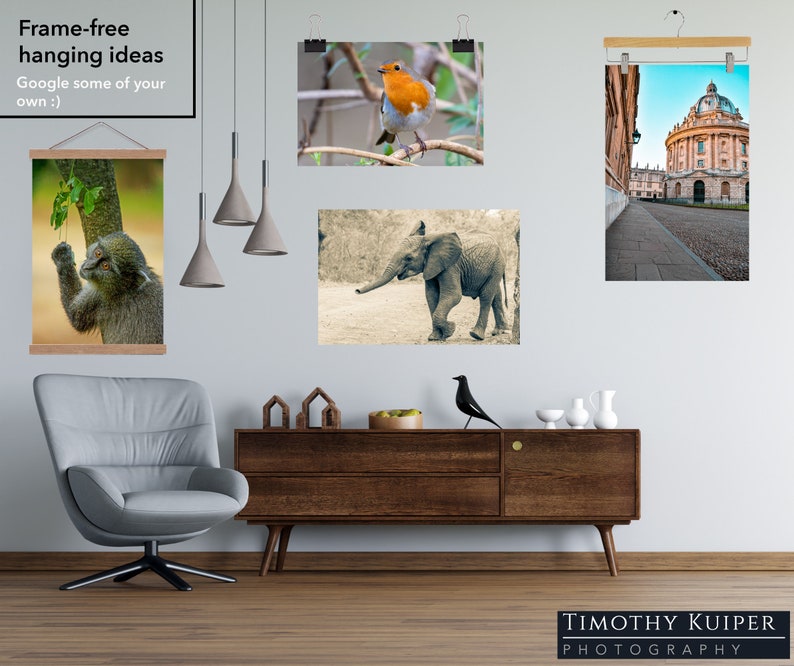 Gothic Arch Oxford University Wall Art Oxford Natural History Museum City Print Original Photography Vine An Oxfordian Wall