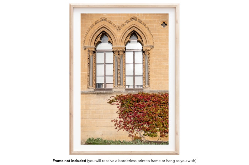 Gothic Arch Oxford University Wall Art Oxford Natural History Museum City Print Original Photography Vine An Oxfordian Wall