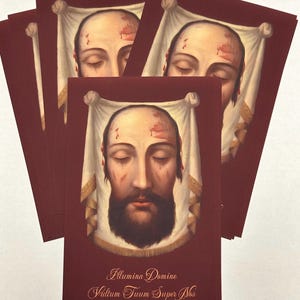 25 biglietti di preghiera del Santo Volto di Gesù 4x6 - Il velo della Veronica
