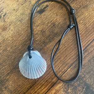 Florida Seashell Statement Piece Necklace