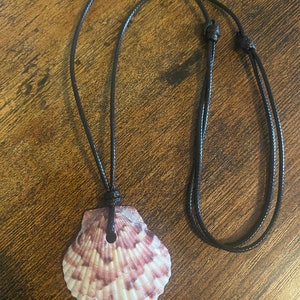 Florida Seashell Statement Piece Necklace