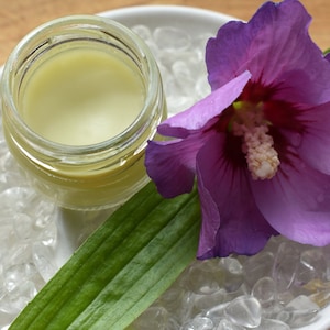 May include: A small glass jar filled with a light green substance sits on a white dish filled with clear stones. A vibrant purple flower with a white center and a green leaf are also on the dish.