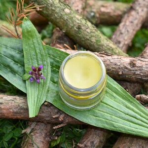 May include: A small, clear glass jar filled with a yellow balm, set on a large green leaf with a small purple flower. The jar is surrounded by wooden branches and greenery, creating a natural, earthy aesthetic.