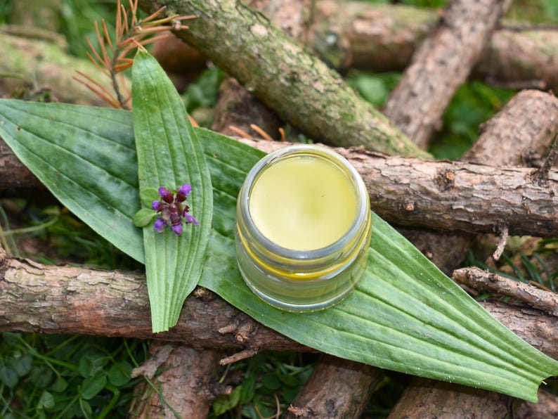 May include: A small, clear glass jar filled with a yellow balm, set on a large green leaf with a small purple flower. The jar is surrounded by wooden branches and greenery, creating a natural, earthy aesthetic.