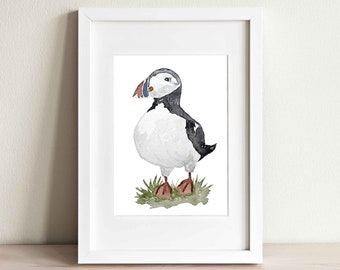 Puffin Watercolor Art Print, Atlantic Puffin Wall Art, Nautical Nursery Décor, Baby Animal Painting, Icelandic Bird, Cute Scottish Animal