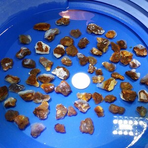 May include: A blue plastic tub filled with water containing a collection of brown and white agate stones.