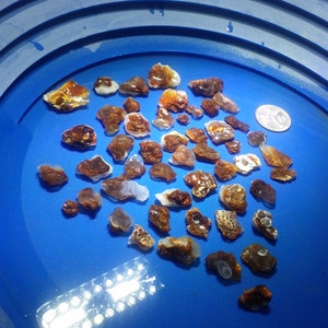 May include: A collection of agate stones in various shades of brown, white, and orange. The stones are arranged on a blue surface.