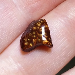May include: A brown and gold agate with a unique pattern of small, round inclusions. The agate is translucent and has a smooth, polished surface.