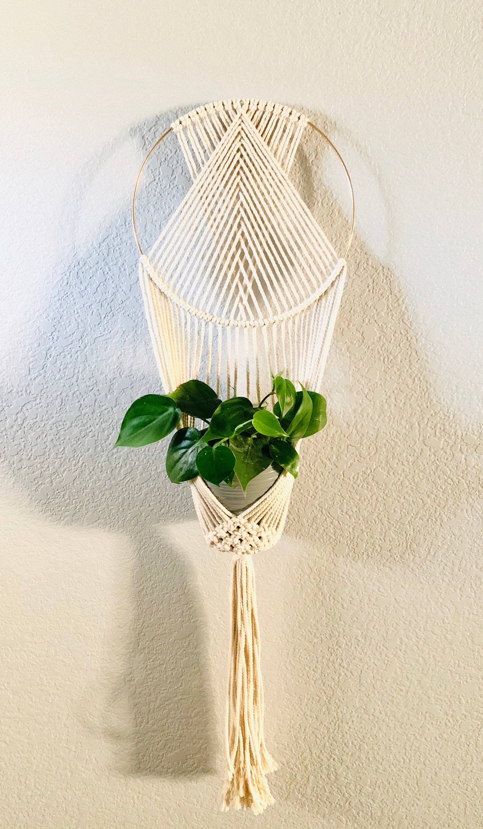 Macrame Ring Plant Hanger Wall Hanging Etsy