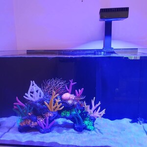 May include: A blue rectangular fish tank with a white sand bottom and a variety of colorful plastic coral decorations. A blue light fixture is mounted above the tank.