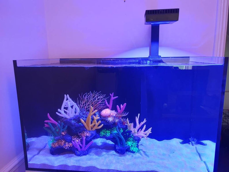 May include: A blue rectangular fish tank with a white sand bottom and a variety of colorful plastic coral decorations. A blue light fixture is mounted above the tank.