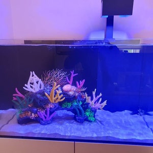 May include: A blue rectangular fish tank with a white sand bottom and colorful plastic coral decorations. The tank has a black background and a clear glass top.