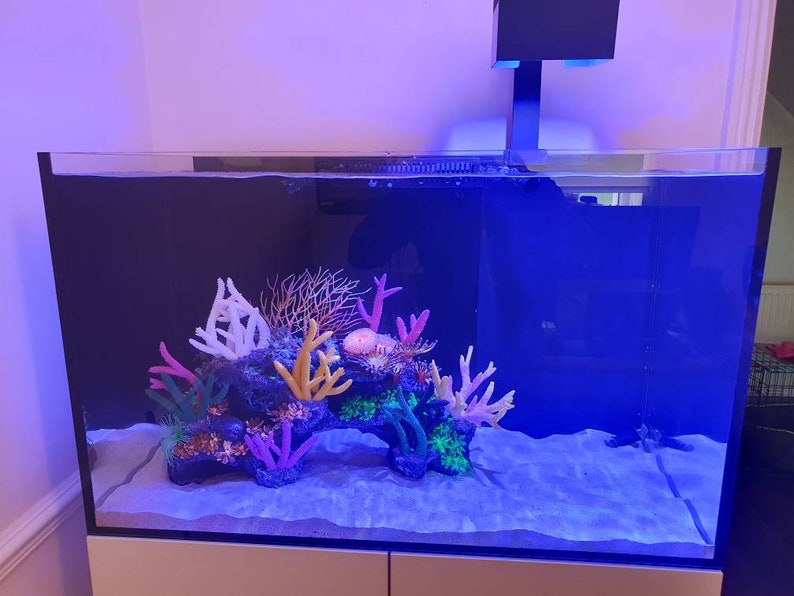 May include: A blue rectangular fish tank with a white sand bottom and colorful plastic coral decorations. The tank has a black background and a clear glass top.