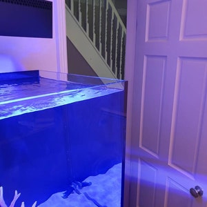 May include: A large, rectangular, clear glass aquarium with blue water and a black light fixture on top. The aquarium is sitting on a black stand and is next to a white door.