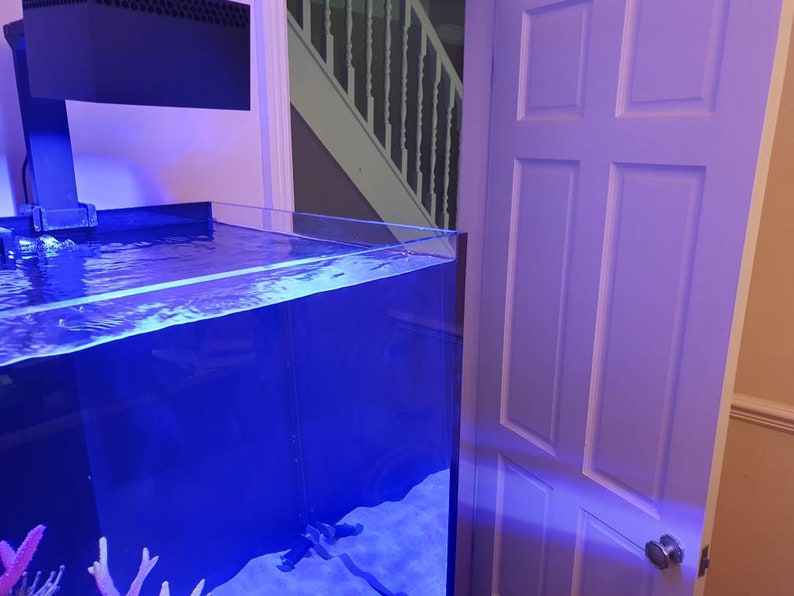 May include: A large, rectangular, clear glass aquarium with blue water and a black light fixture on top. The aquarium is sitting on a black stand and is next to a white door.