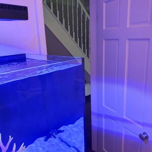 May include: A large, rectangular, clear glass fish tank with blue water and coral. The tank is lit by a black light fixture mounted on the wall above the tank. The tank is in a room with a white door.