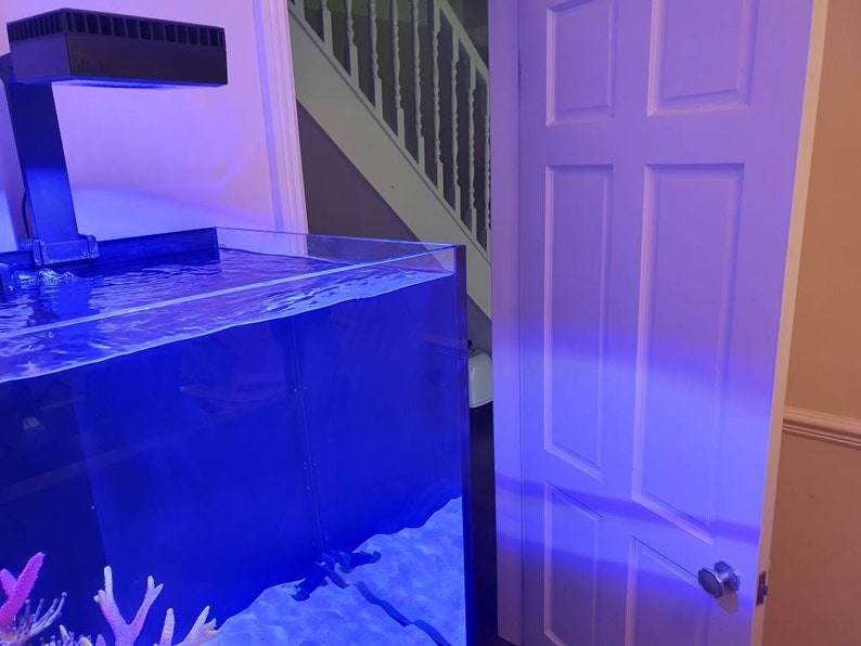May include: A large, rectangular, clear glass fish tank with blue water and coral. The tank is lit by a black light fixture mounted on the wall above the tank. The tank is in a room with a white door.