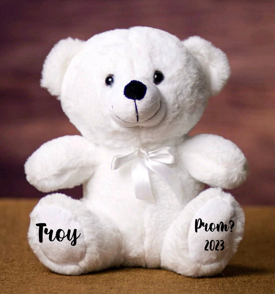 Customized Girl Tackle Fishing Prom Proposal: 10 Inch Teddy Bear Stuffed  Animal