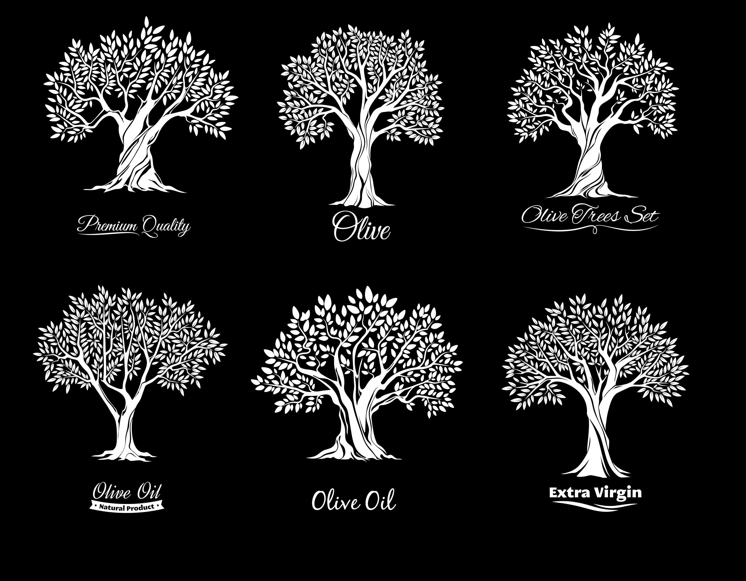 邦楽 OLIVE OIL - Big Silhouette Amazon.com: Zeta Oil Olive Basil Grlc Dnp