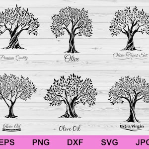 Set di ulivi di elementi di design di raccolta, silhouette di ulivo svg, download digitale circuito clipart file Svg tagliato