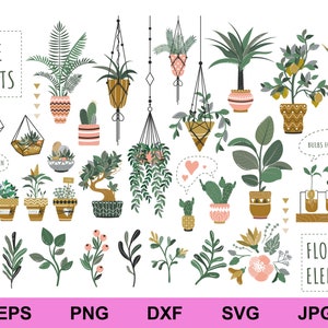 Conjunto de plantas de interior en macetas, paquete de colección SVG, plantas y hojas con flores SVG, plantas, elementos florales, clipart SVG