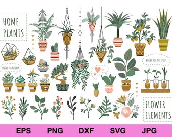 house plants in flowerpots set of collection bundle svg, plants and leaves with flowers svg, plants floral elements clipart svg