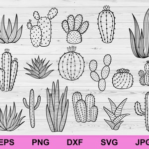 hand getrokken cactus kamerplanten illustratie silhouet ontwerpset collectie bundel svg, silhouet cactusplanten clipart cricut svg