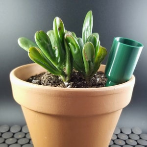 Watering Spike for Plants in Small Containers or Low Water Plants
