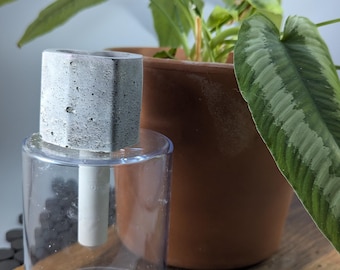 Hydrating Plant Water Spikes for House Plants - Cement  Octagons