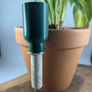 Hydrating Plant Water Spikes for House Plants - Small Green Bowl