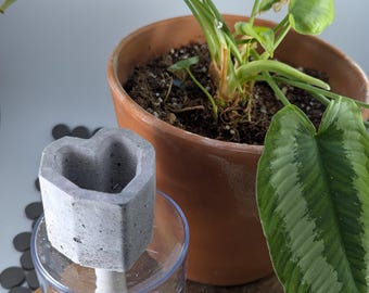 Hydrating Plant Water Spikes for House Plants - Cement Heart