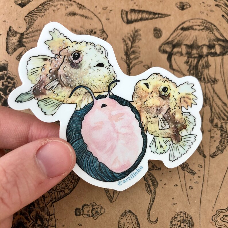 Pacific Spiny Lumpsucker fish sitting on aquatic snail 3 inch waterproof vinyl sticker
