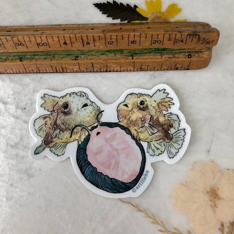 Pacific Spiny Lumpsucker fish sitting on aquatic snail 3 inch waterproof vinyl sticker