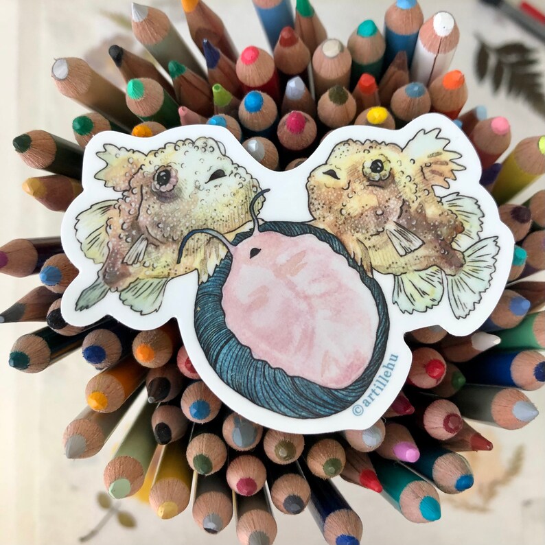 Pacific Spiny Lumpsucker fish sitting on aquatic snail 3 inch waterproof vinyl sticker