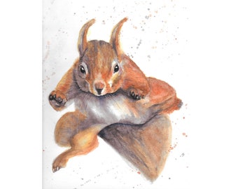 Impresión en acuarela de ardilla roja escocesa, pintura de ardilla voladora, arte de las Tierras Altas