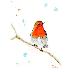 British Garden Birds Robin On A Branch, Watercolour Print Of A Robin Red Breast On Matte Paper