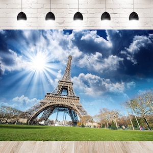 Sunny Paris Eiffel Tower Building City Photo Backdrops Booth Scenery Photography Studio Newborn Birthday Backgrounds for Family Travel Party