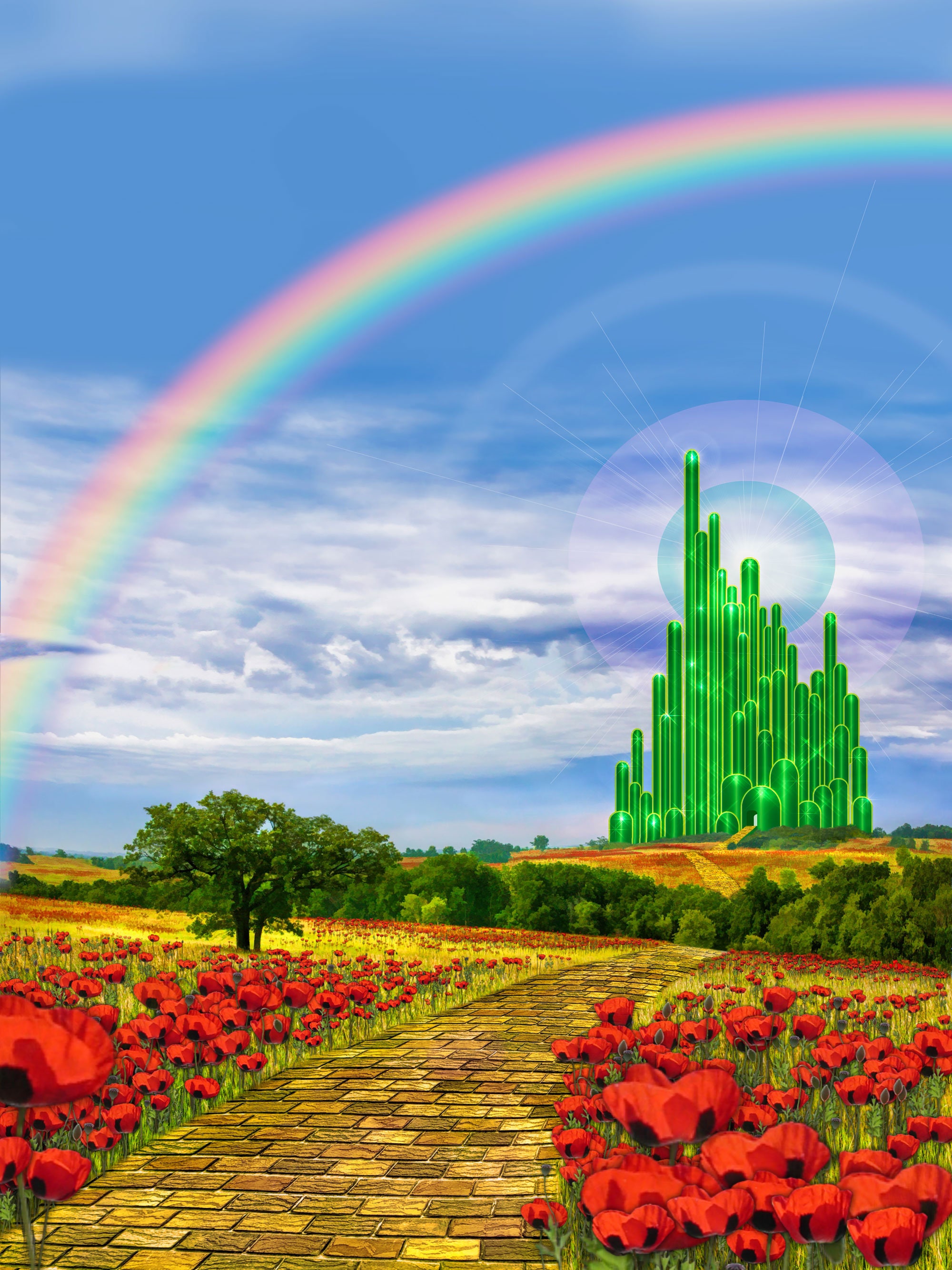 Emerald City Wizard of Oz Newborn Baby Birthday Photo Backdrops Booth ...