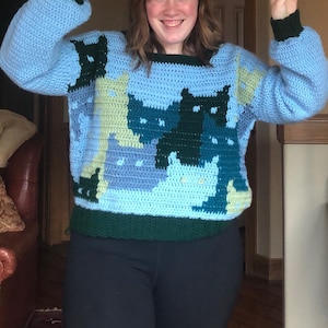 PATTERN Cat Sweater Crochet image 7