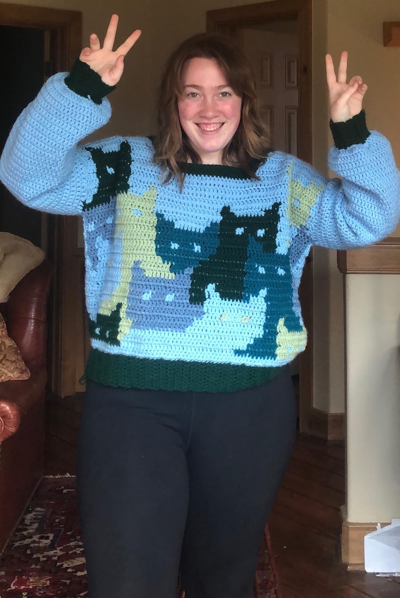 PATTERN Cat Sweater Crochet image 7