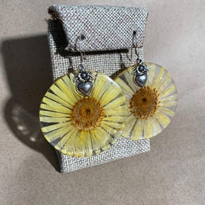 Sunflower Earrings, Real Dried Sun Flowers, Genuine Sunflower as an Earring, Gift for Gardener, Gift for Her SHIPS FREE