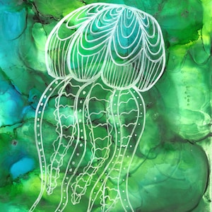Jellyfish
