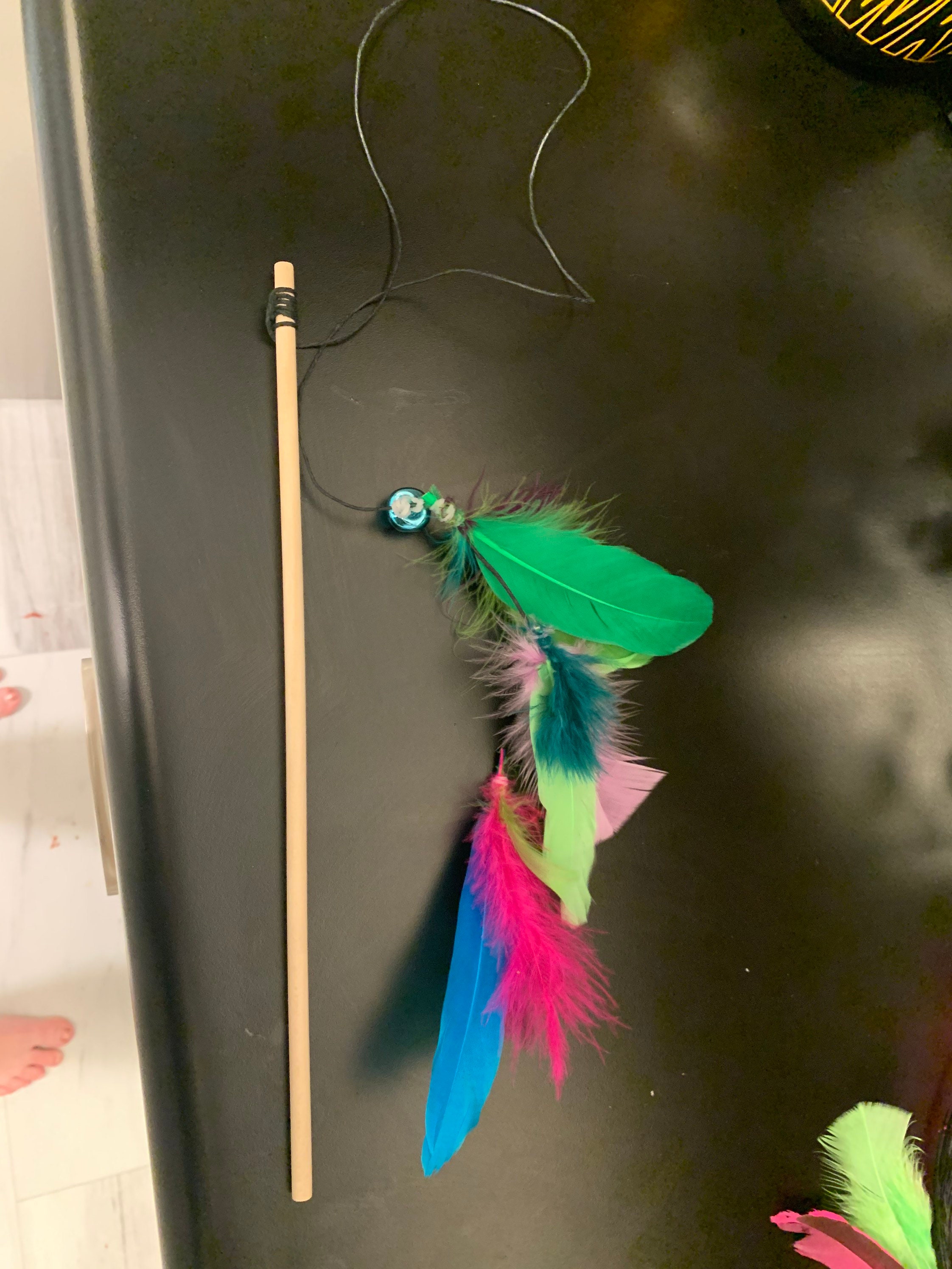 Kitty approved Rainbow feather cat teaser toy Etsy