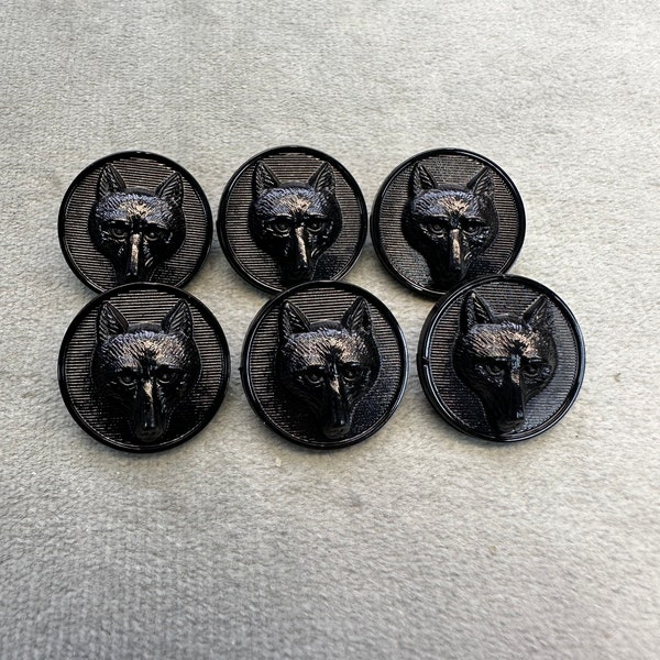 Fox buttons black glossy finish 20mm a set of 6