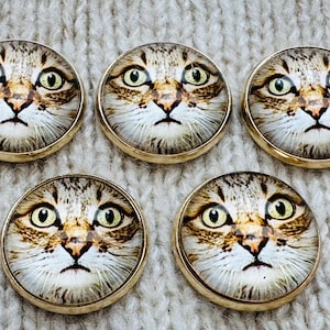 May include: Five circular buttons featuring a cat's face with a gold-coloured metal rim. The cat faces have green eyes, a brown and tan tabby pattern, and a white muzzle. The buttons are arranged on a textured, off-white surface.
