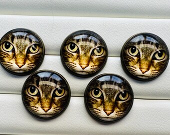 Cat Buttons 22mm – Glass and Metal Shank Buttons – Set of 5