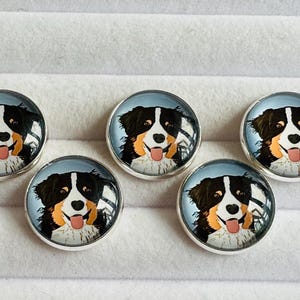 Könnte beinhalten: Fünf runde, silberfarbene Knöpfe mit einer farbenfrohen Illustration eines Berner Sennenhundes. Der Hund hat schwarzes, weißes und braunes Fell, mit herausgestreckter Zunge. Der Hintergrund ist hellblau.