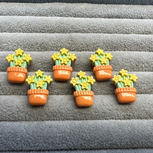 Knopen narcissen in pot veelkleurig 16 x 22 mm per set van 6