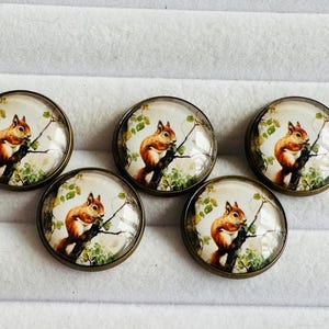 May include: Five circular buttons with a brass-effect metal surround and a domed glass top. Each button displays a detailed image of a squirrel on a tree branch with green foliage. The squirrel has reddish-brown fur.