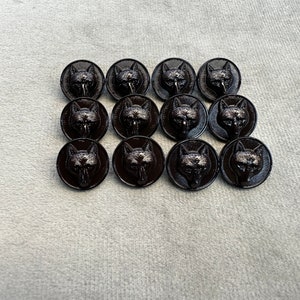 Bottoni volpe marrone 15 mm set da 12